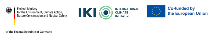 International Climate Initiative